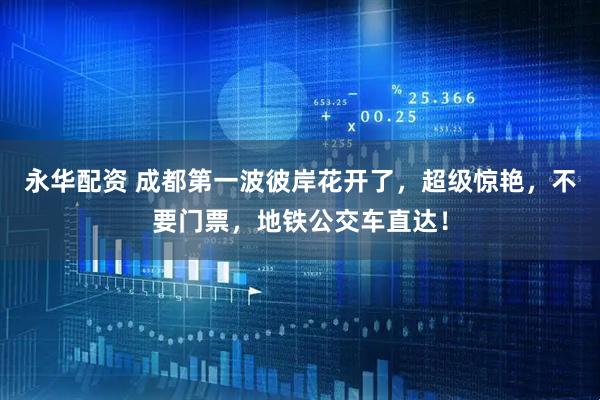 永华配资 成都第一波彼岸花开了，超级惊艳，不要门票，地铁公交车直达！