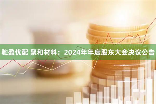 驰盈优配 聚和材料：2024年年度股东大会决议公告
