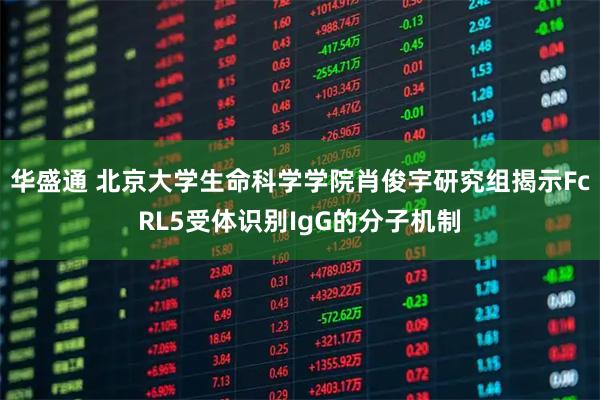 华盛通 北京大学生命科学学院肖俊宇研究组揭示FcRL5受体识别IgG的分子机制