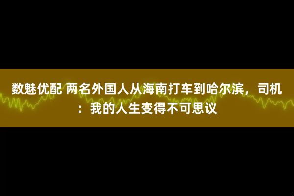 数魅优配 两名外国人从海南打车到哈尔滨，司机：我的人生变得不可思议
