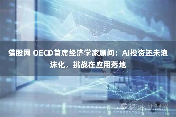 猎股网 OECD首席经济学家顾问：AI投资还未泡沫化，挑战在应用落地